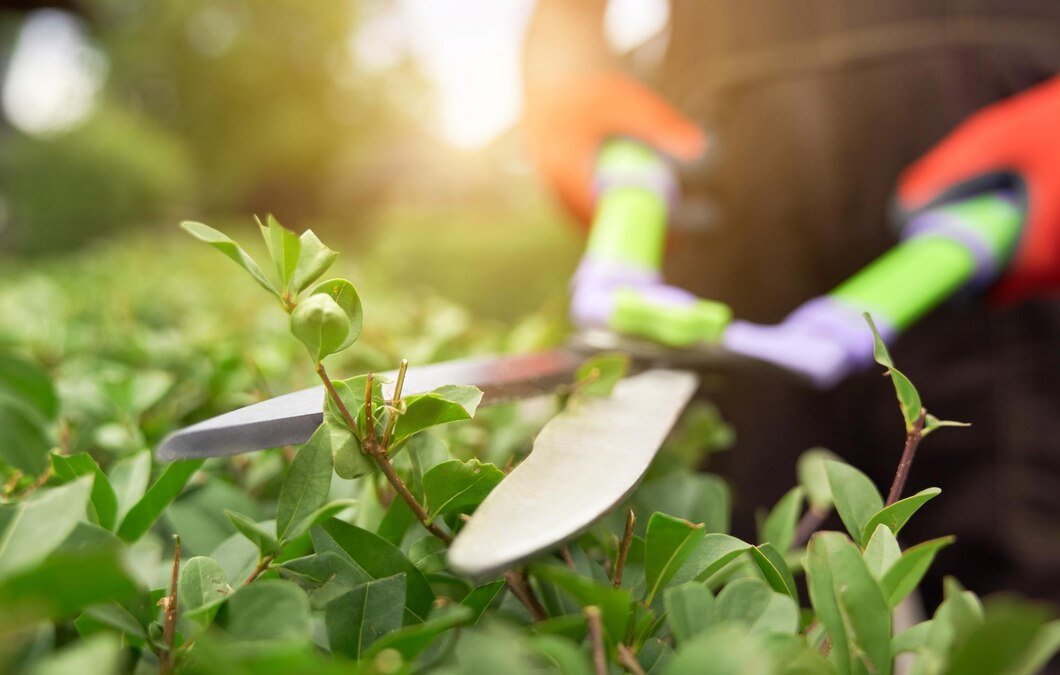 Imagem do serviço de Limpeza e Jardinagem