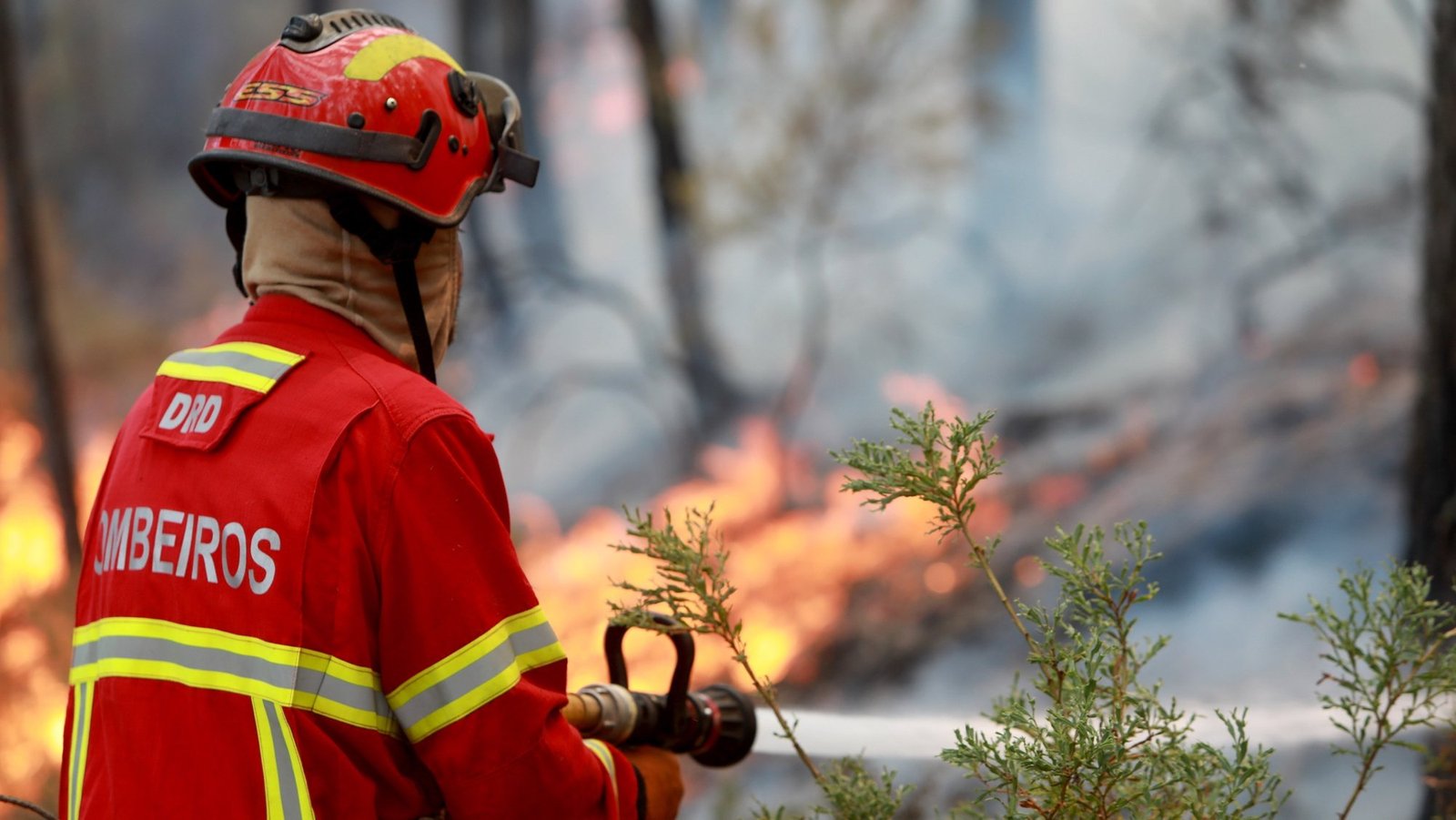 Imagem do serviço de Terceirização de Bombeiro Civil